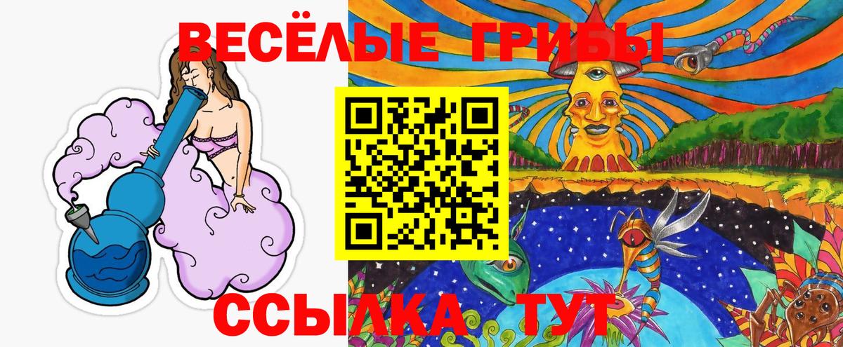 Ревда  Псилоцибиновые грибы GOLDEN TEACHER  Вход с VPN  Галлюциногенные грибы MAGIC MUSHROOMS 