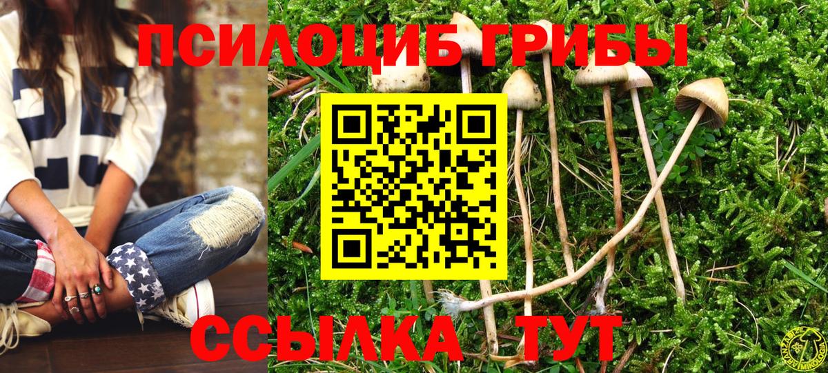 Псилоцибиновые грибы GOLDEN TEACHER Ревда